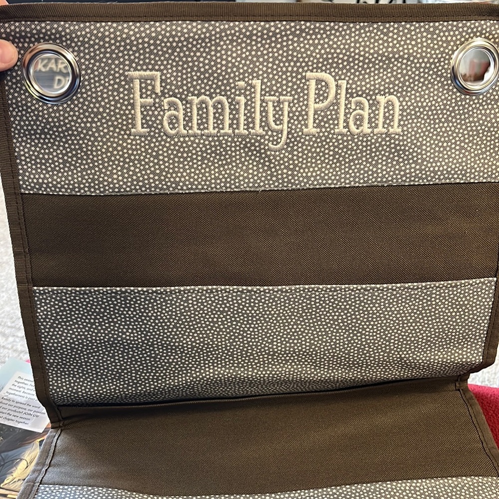 Hanging file organizer